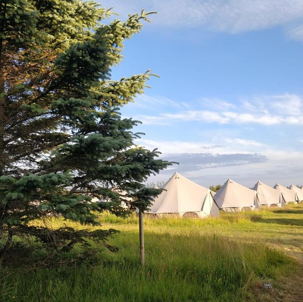 Godaland Glamping 크볼스뵈들뤼르 외부 사진